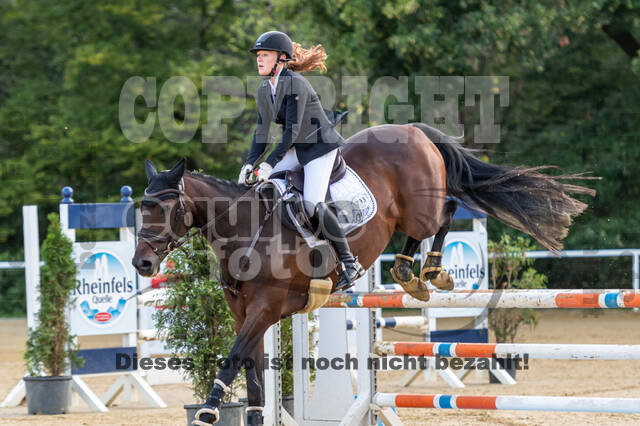 RFV Dinslaken-Hiesfeld (Herbstturnier)