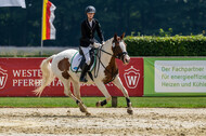 Goldene Schärpe 2021 - Ponys