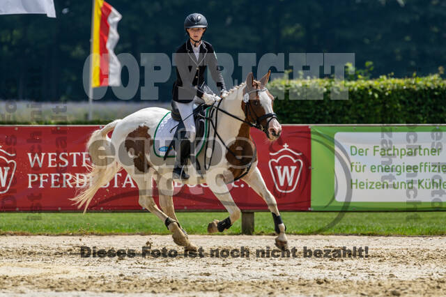 Goldene Schärpe 2021 - Ponys