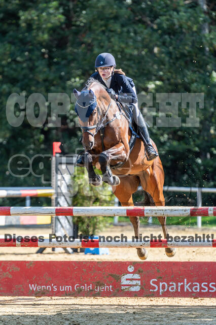 RFV Dinslaken-Hiesfeld (Herbstturnier)