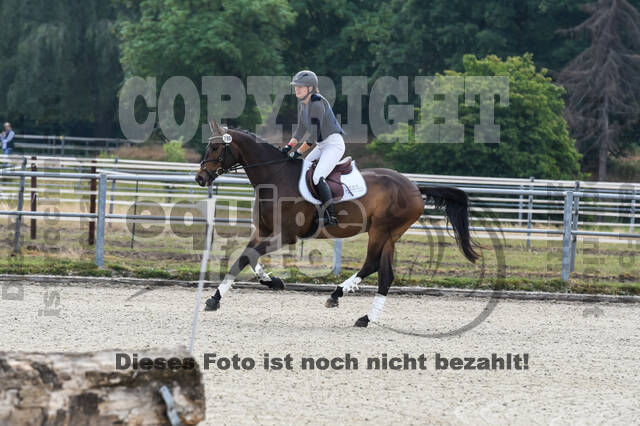 Late-Entry-Vielseitigkeit Langenfeld (11.+13./14.06.2020)