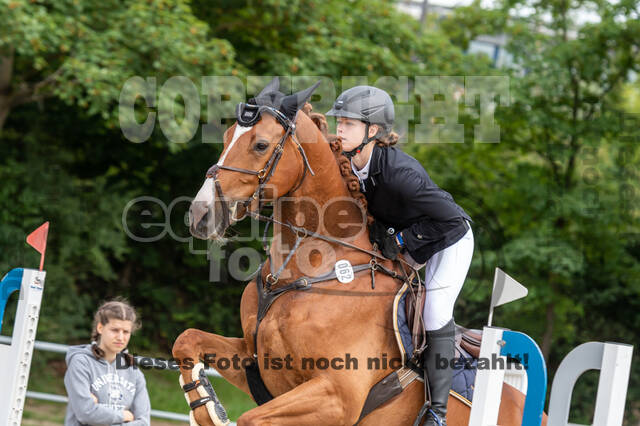 Late-Entry-Vielseitigkeit Langenfeld (06.+07.07.2020)