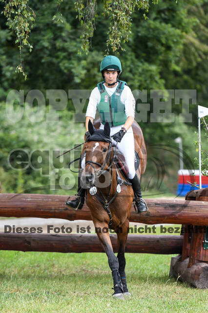 Late-Entry-Vielseitigkeit Langenfeld (11.+13./14.06.2020)