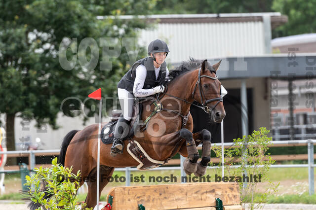 Late-Entry-Vielseitigkeit Langenfeld (06.+07.07.2020)