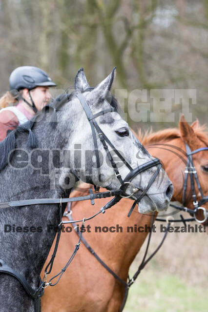 Geländetraining RSV St. Hubertus Wesel Obrighoven (10.+11.03.2018)