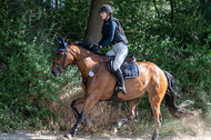 Late-Entry-Vielseitigkeit Langenfeld (11.+13./14.06.2020)