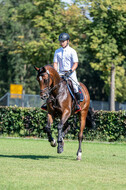 Kronenberg - De Peelbergen (August 2020)