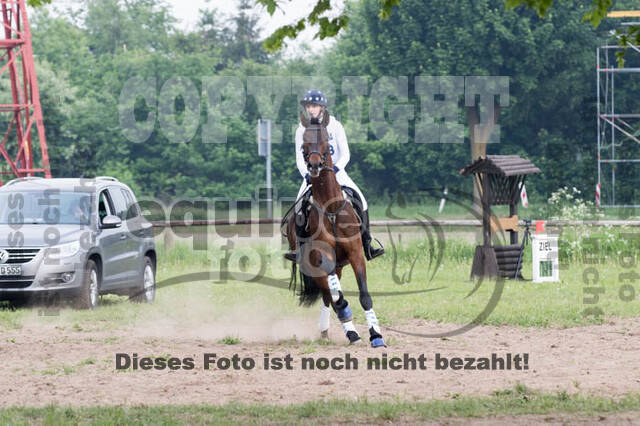 Vielseitigkeitsturnier ZRFV von Lützow Hamminkeln