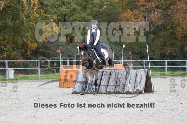 IGV Lehrgang der Sieger der Cups mit Frank Ostholt