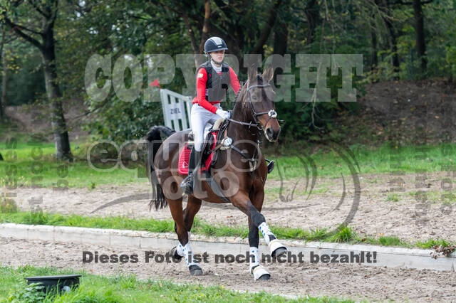 Goldene Schärpe 2020 - Pferde