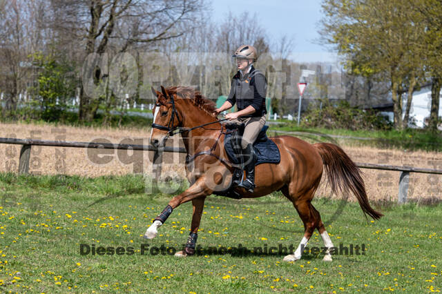 Geländetraining ZRFV Hamminkeln (24+25.04.2021)