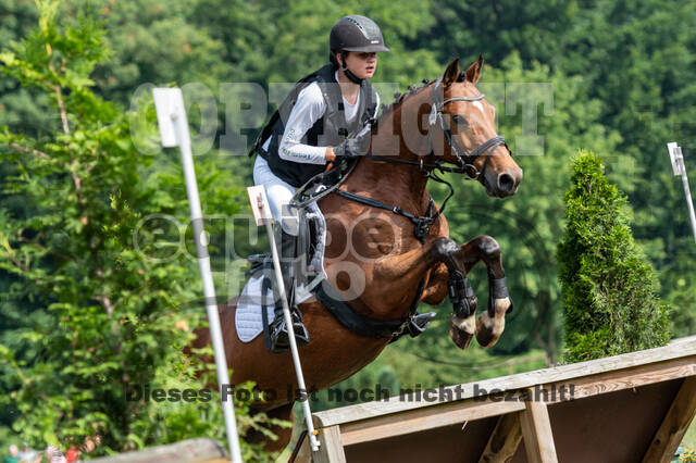 Goldene Schärpe 2021 - Ponys