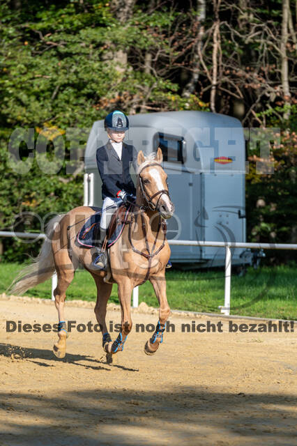 RFV Dinslaken-Hiesfeld (Herbstturnier)