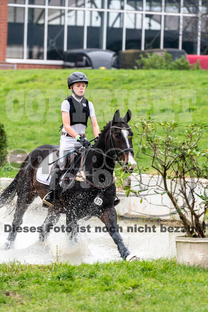 Goldene Schärpe 2020 - Pferde