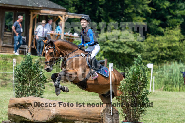 Goldene Schärpe 2021 - Ponys