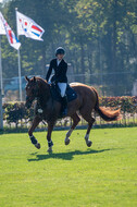 De Peelbergen (August 2020)
