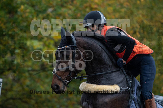 Training Bettina Hoy (01.11.2020)