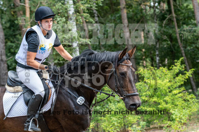 Late-Entry Vielseitigkeit Hamminkeln/Wesel (01.+02.08.2020)