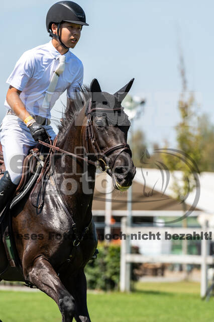 Kronenberg - De Peelbergen (August 2020)