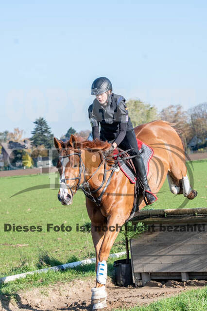 Vielseitigkeitslehrgang mit Jürg Kurbel (9.+10.11.2019)