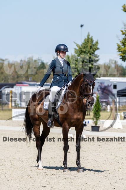 Kronenberg - De Peelbergen (August 2020)