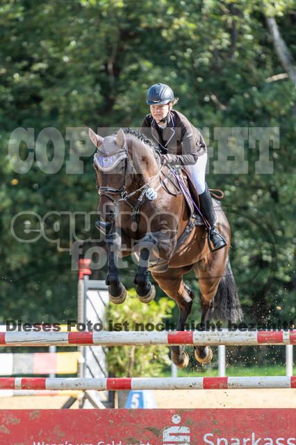 RFV Dinslaken-Hiesfeld (Herbstturnier)