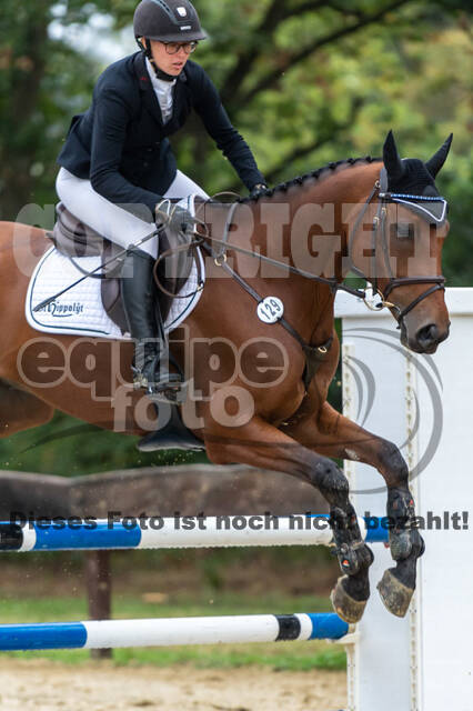 Vielseitigkeit RSV Wesel Obrighoven (26.+27.09.2020)