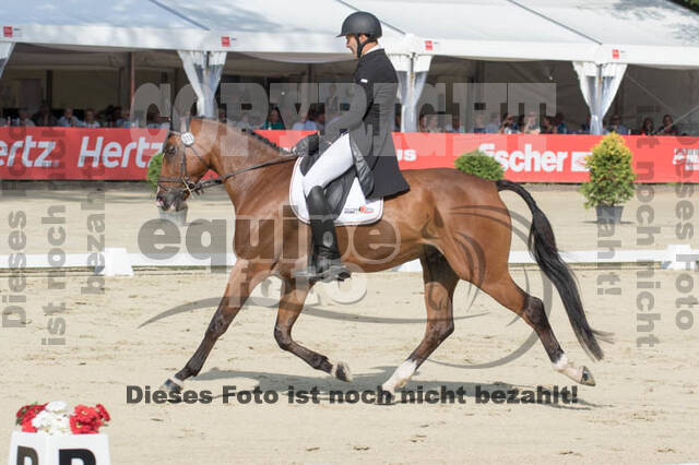 FEI European Championship Eventing 2017