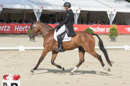 FEI European Championship Eventing 2017