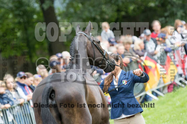 FEI European Championship