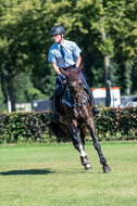 Kronenberg - De Peelbergen (August 2020)