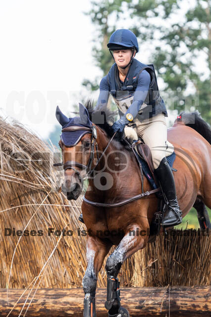 De Peelbergen (August 2020)