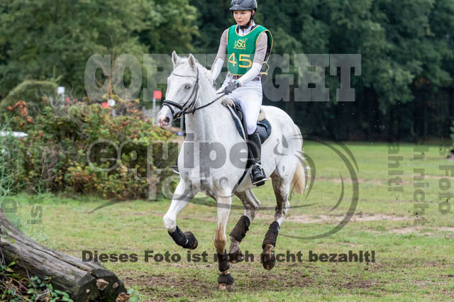 Vielseitigkeit RSV Wesel Obrighoven (26.+27.09.2020)