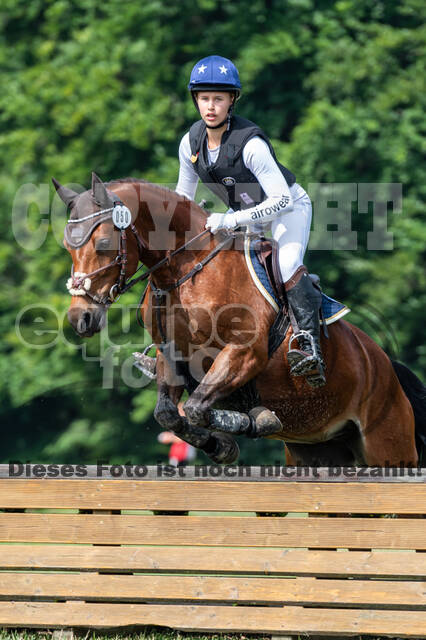 Goldene Schärpe 2021 - Ponys