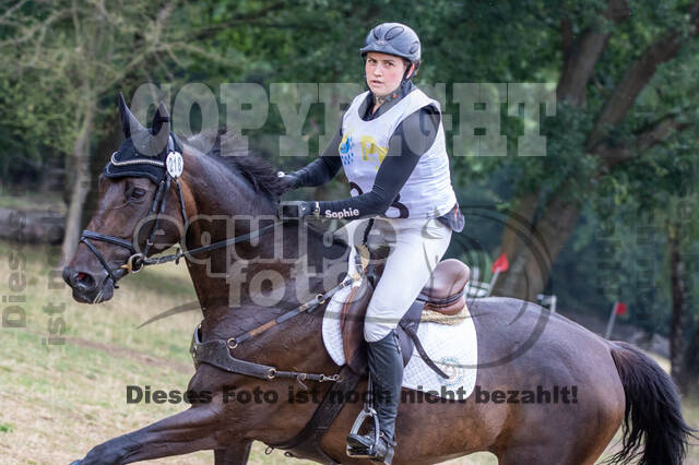 Late-Entry Vielseitigkeit Hamminkeln/Wesel (01.+02.08.2020)