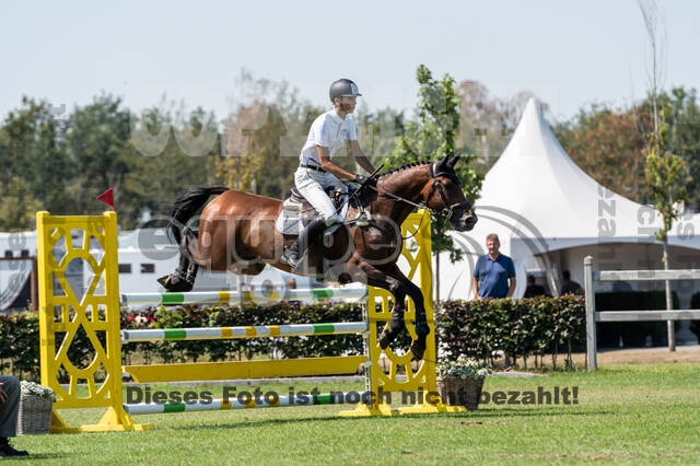 Kronenberg - De Peelbergen (August 2020)