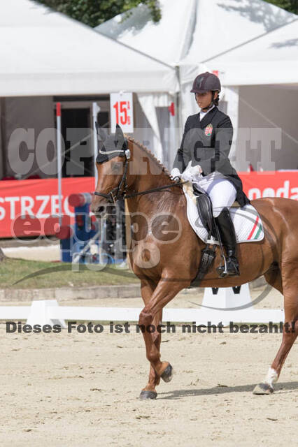 FEI European Championship Eventing 2017