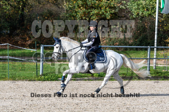 IGV Lehrgang der Sieger der Cups mit Frank Ostholt