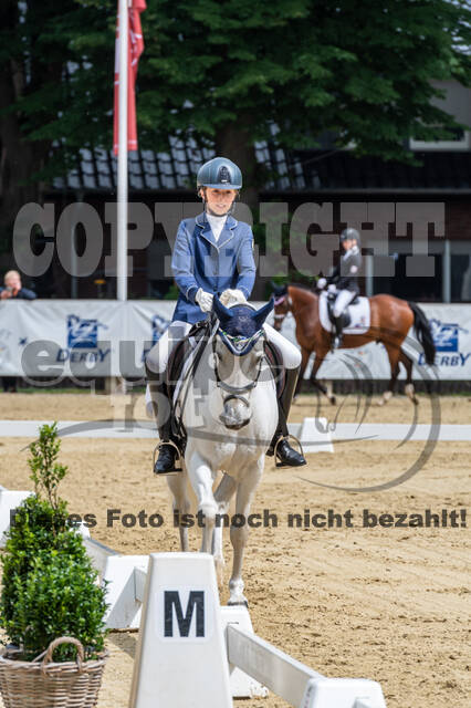 Goldene Schärpe 2021 - Ponys