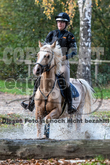 IGV Lehrgang der Sieger der Cups mit Frank Ostholt