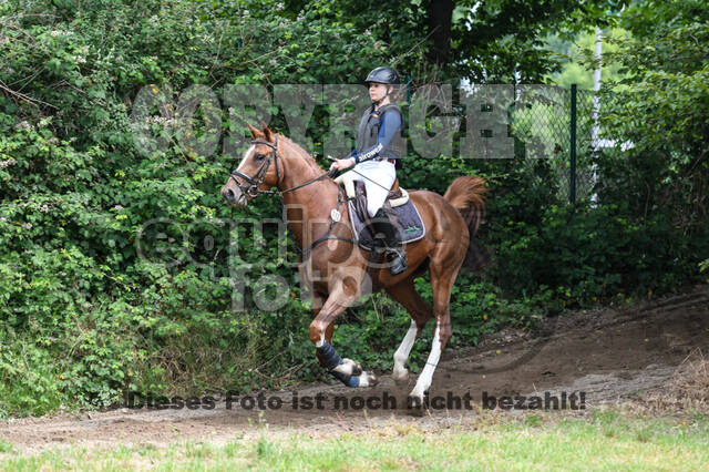 Late-Entry-Vielseitigkeit Langenfeld (11.+13./14.06.2020)