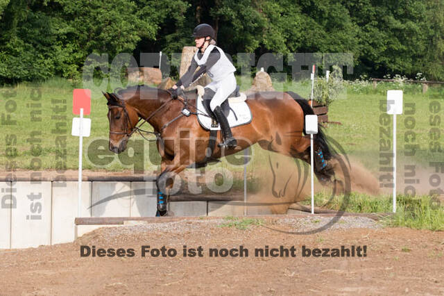 Vielseitigkeitsturnier ZRFV von Lützow Hamminkeln