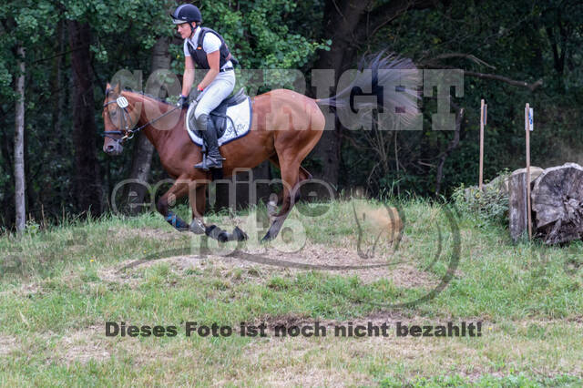 Late-Entry Vielseitigkeit Hamminkeln/Wesel (01.+02.08.2020)