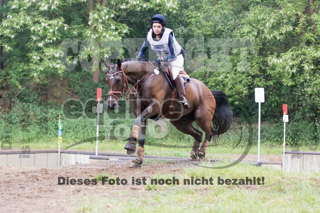 Vielseitigkeitsturnier ZRFV von Lützow Hamminkeln