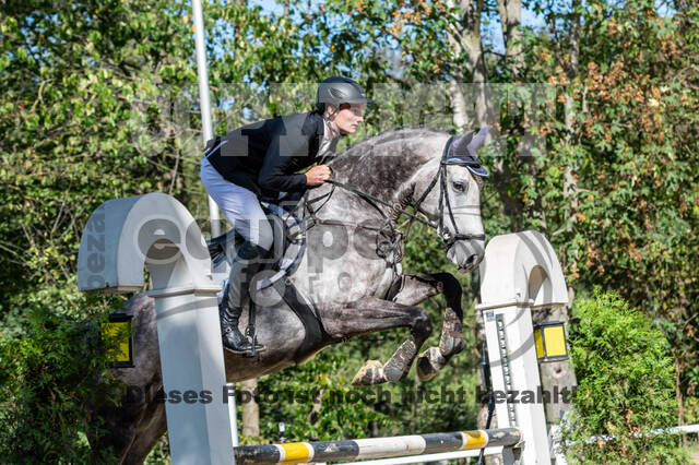 RFV Dinslaken-Hiesfeld (Herbstturnier)