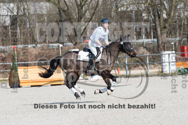 Eventing Langenfeld 2018