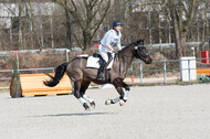 Eventing Langenfeld 2018