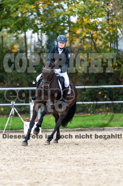 Reiter Schleswig-Holstein