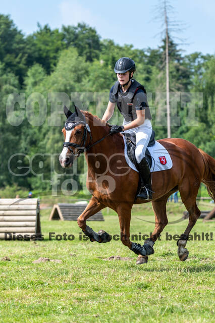 Goldene Schärpe 2021 - Ponys