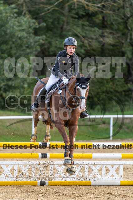 RFV Dinslaken-Hiesfeld (Herbstturnier)